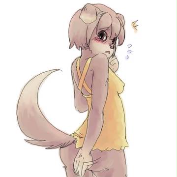 しりまるだし