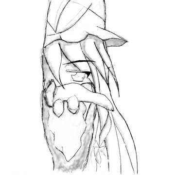 スキマ妖怪「・・・来る？」