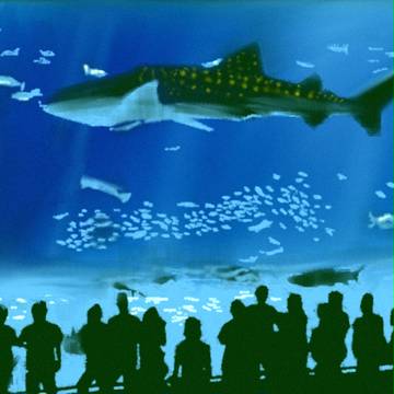 水族館