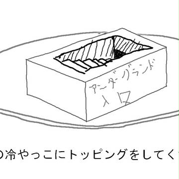 冷奴にトッピングしてみたけど・・・