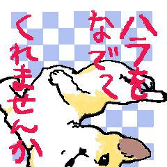 腹を…