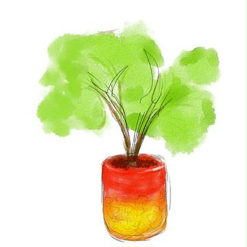 草