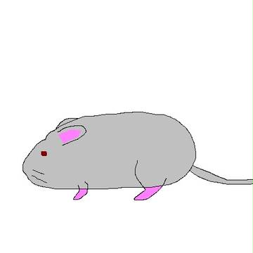 年賀状その１