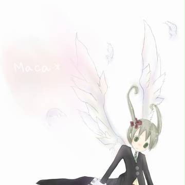 羽マカ