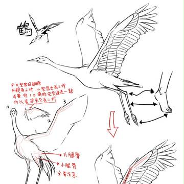 Memo4