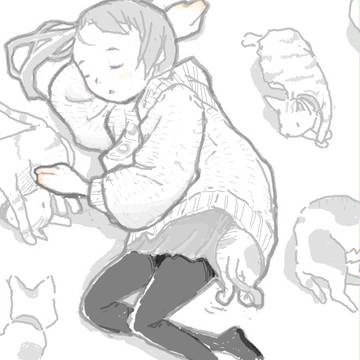 猫寝