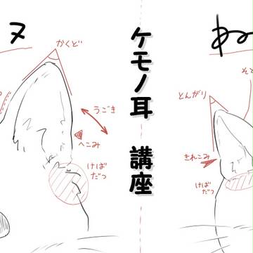 ケモノ耳講座