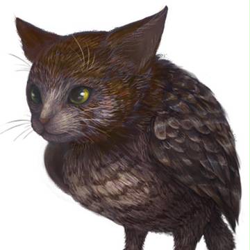 ねこふくろう