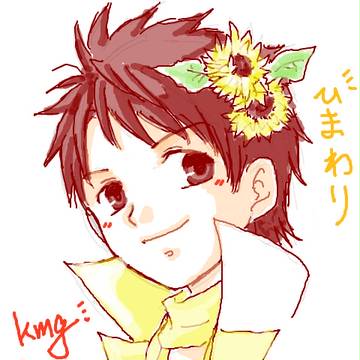 ひまわり