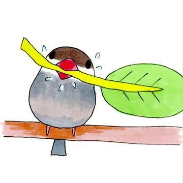 必死になって茎ばっかり噛むよ！