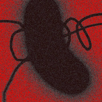 BUG