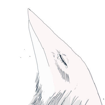 若いドラゴン