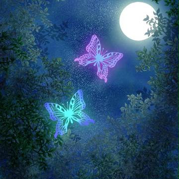 夜の森