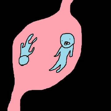 胃の中
