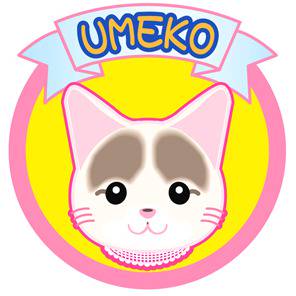 コミケ用