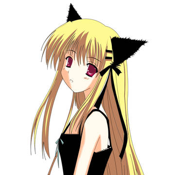 qwnl