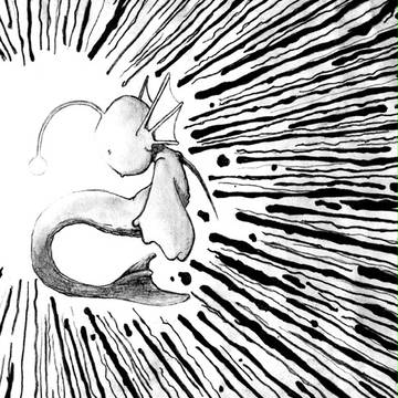 照明のポイント