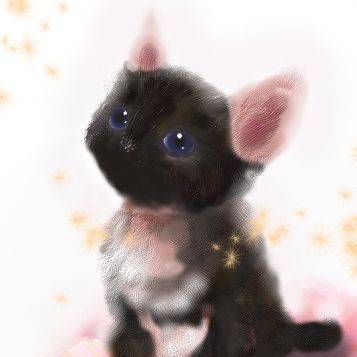 くろにゃんこ