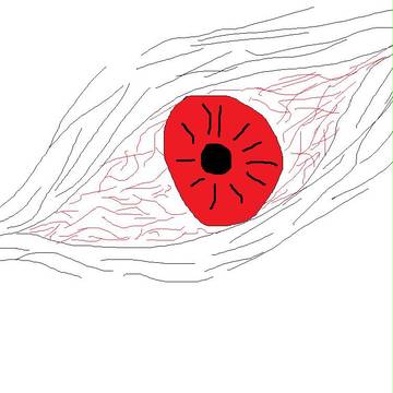 目
