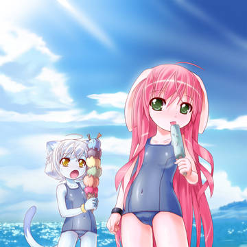 SUMMER IN NOVEMBER 夏は11月に