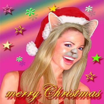 にゃんたのクリスマス