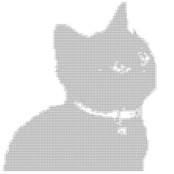 いぬ