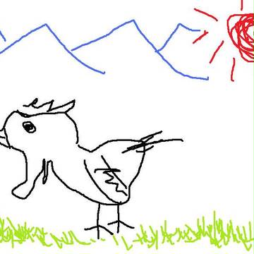 謎の鳥（にわとりの仲間）
