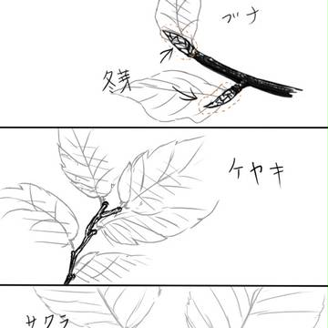 枝の先