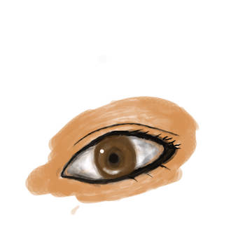 目の模写
