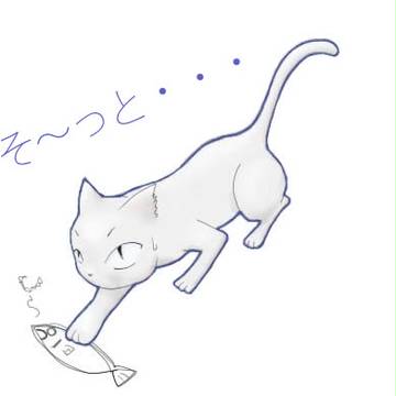 ぬこ