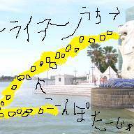 まーらいおん