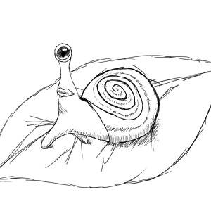 かたつむり