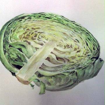 キャベツ