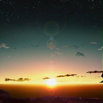 dawn