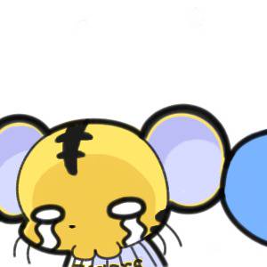 トラの習性？