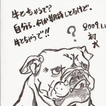 はついぬ