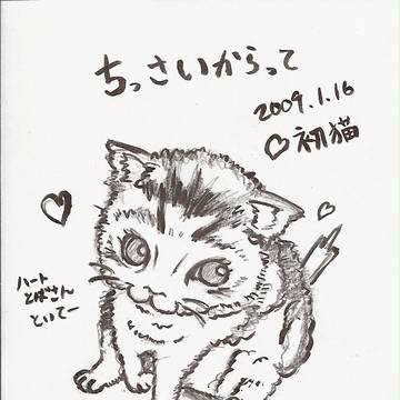はつねこ