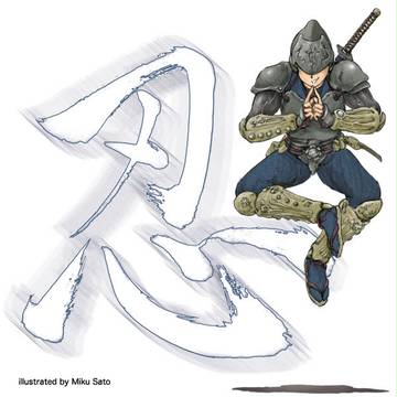 THE NINJA
