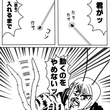 第6回東方シリーズ人気投票 リグル・ナイトバグ支援2