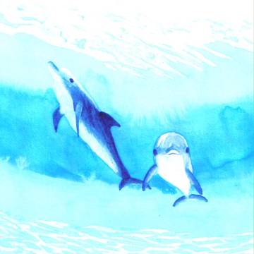 ２頭のイルカ