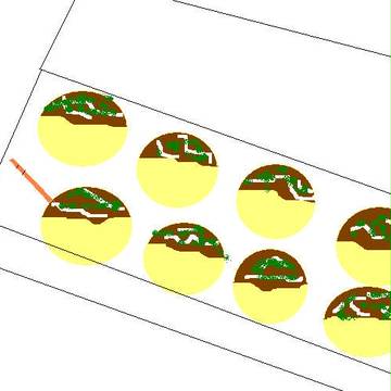 takoyaki