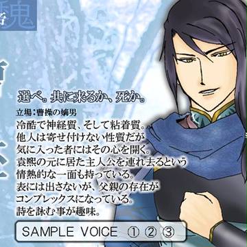 ネオロマ三国志