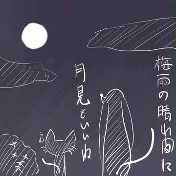 犬の日常６