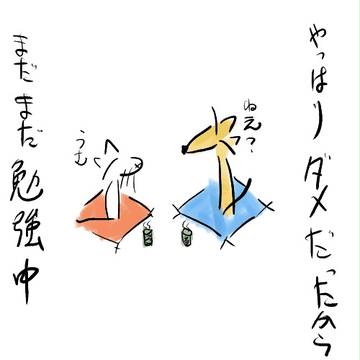 犬の日常７