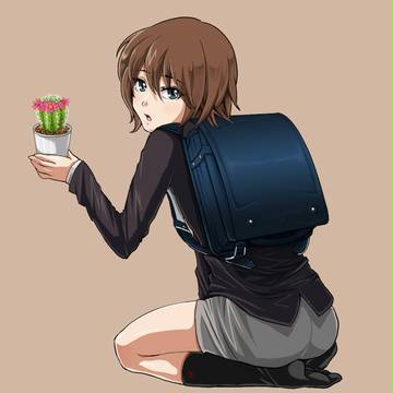 初めてのサボテン