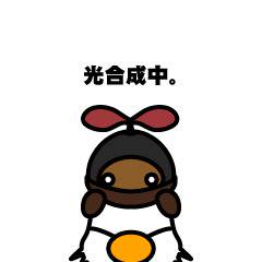 光合成中