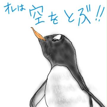 俺は空を飛ぶ！！
