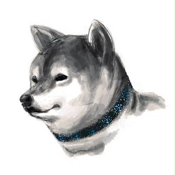 わんちゃん