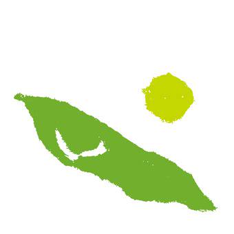 エダマメ