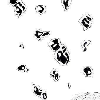 涙　－ｒｕｉ－
